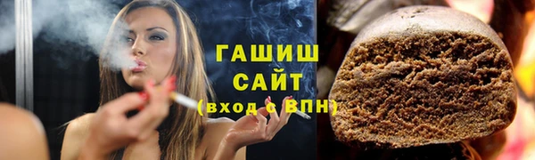 гидра Няндома