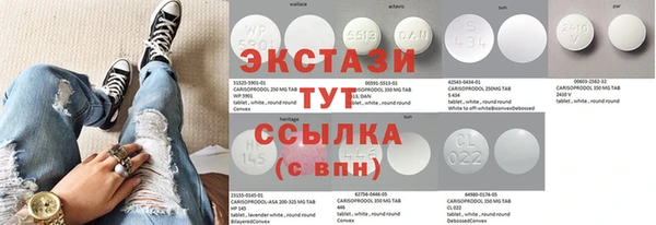 гидра Няндома