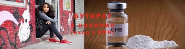 гидра Няндома