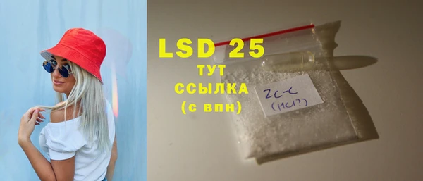 гидра Няндома