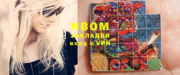 гидра Няндома