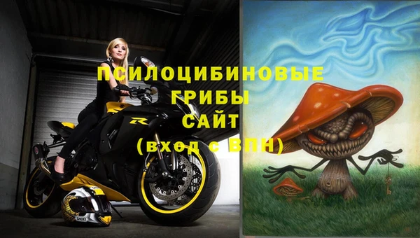 MDMA Premium VHQ Нязепетровск