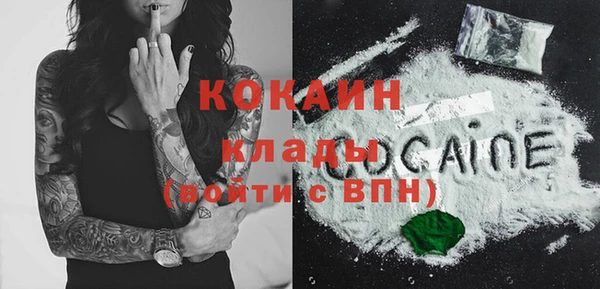 гидра Няндома