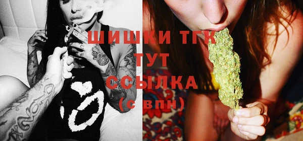 гидра Няндома