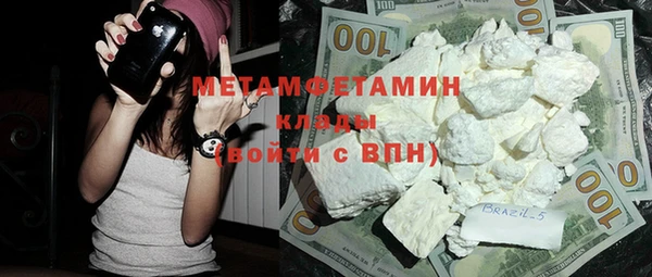гидра Няндома