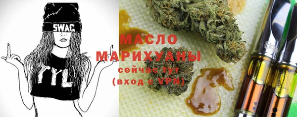 гидра Няндома