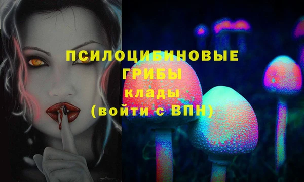 гидра Няндома